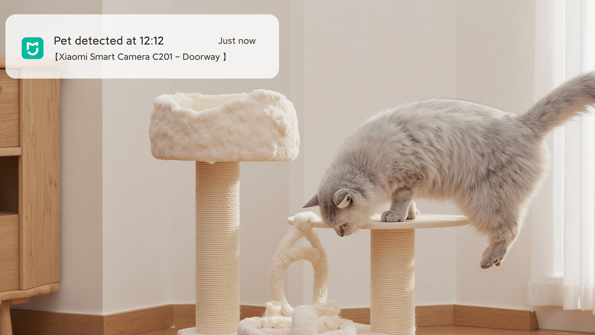 Xiaomi Smart Camera C201 – Obrázok 12