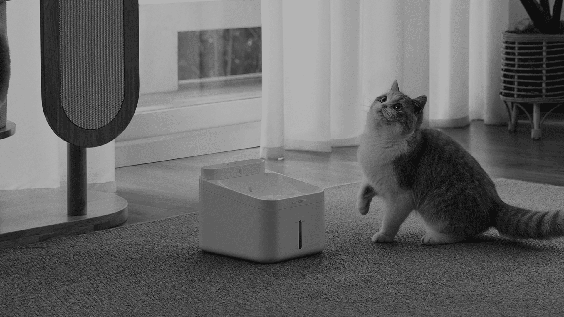 Xiaomi Smart Camera C701 EU – Obrázok 7